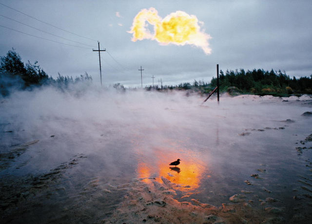 [Игорь Гаврилов] Интенсивный курс профессиональной_0.png